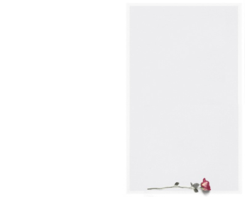 SE TA Rose liegend - Karte: 185 mm x 230 mm, creme-weiß, Motiv - Hülle: 120 mm x 191 mm, creme-weiß, mit Seidenfutter