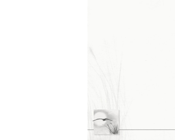 SE TA Vogel  - Karte: 185 mm x 230 mm, creme-weiß, Motiv - Hülle: 120 mm x 191 mm, creme-weiß, mit Seidenfutter