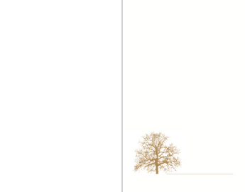 SE TZ Baum mit Schatten - Karte: 110 mm x 140 mm, creme-weiß, Motiv