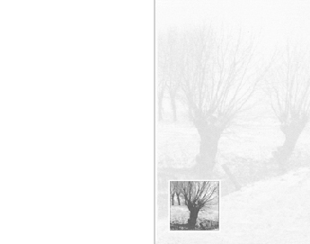 SE TZ Baumlandschaft 2 - Karte: 110 mm x 140 mm, edel-weiß, Motiv