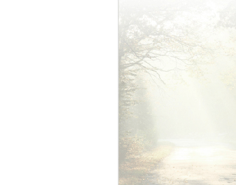 SE TZ Waldweg 2 - Karte: 110 mm x 140 mm, hochweiß, Motiv